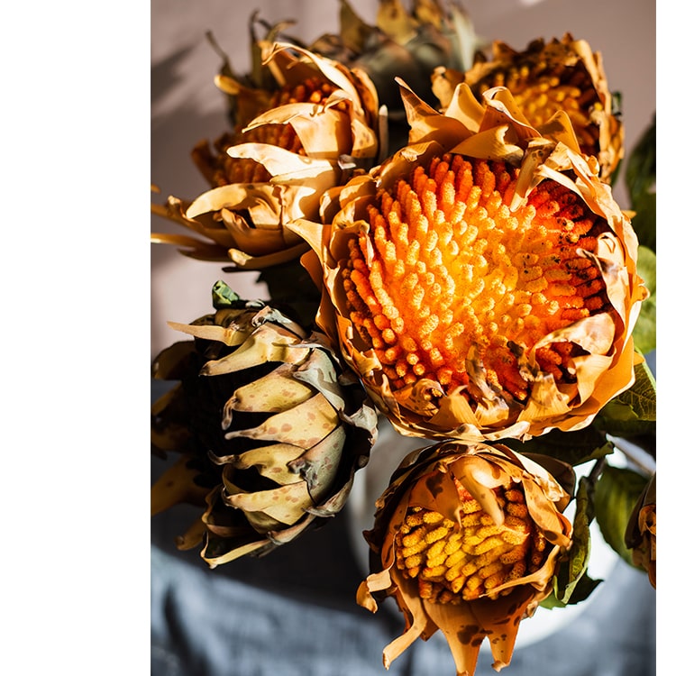 Flannel Sunflower Stem