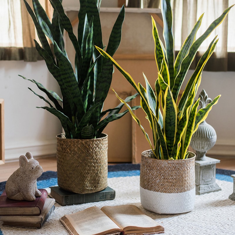 Natural Straw Basket