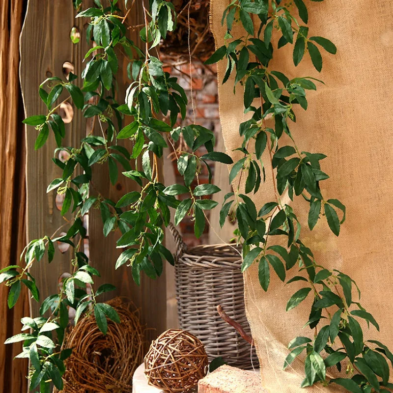 The Olive Hearth Vine