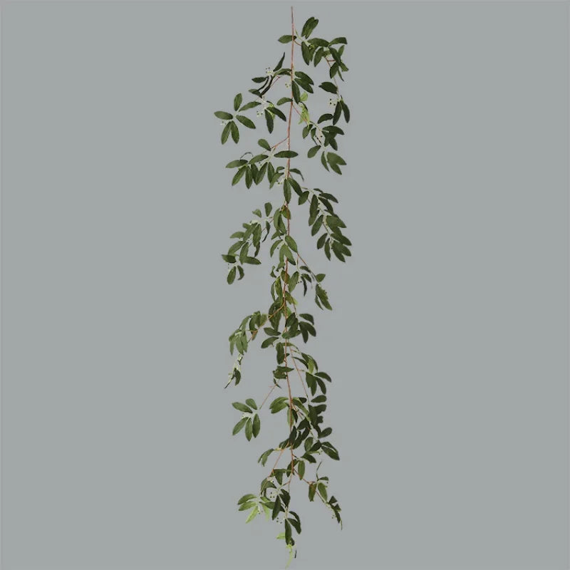 The Olive Hearth Vine