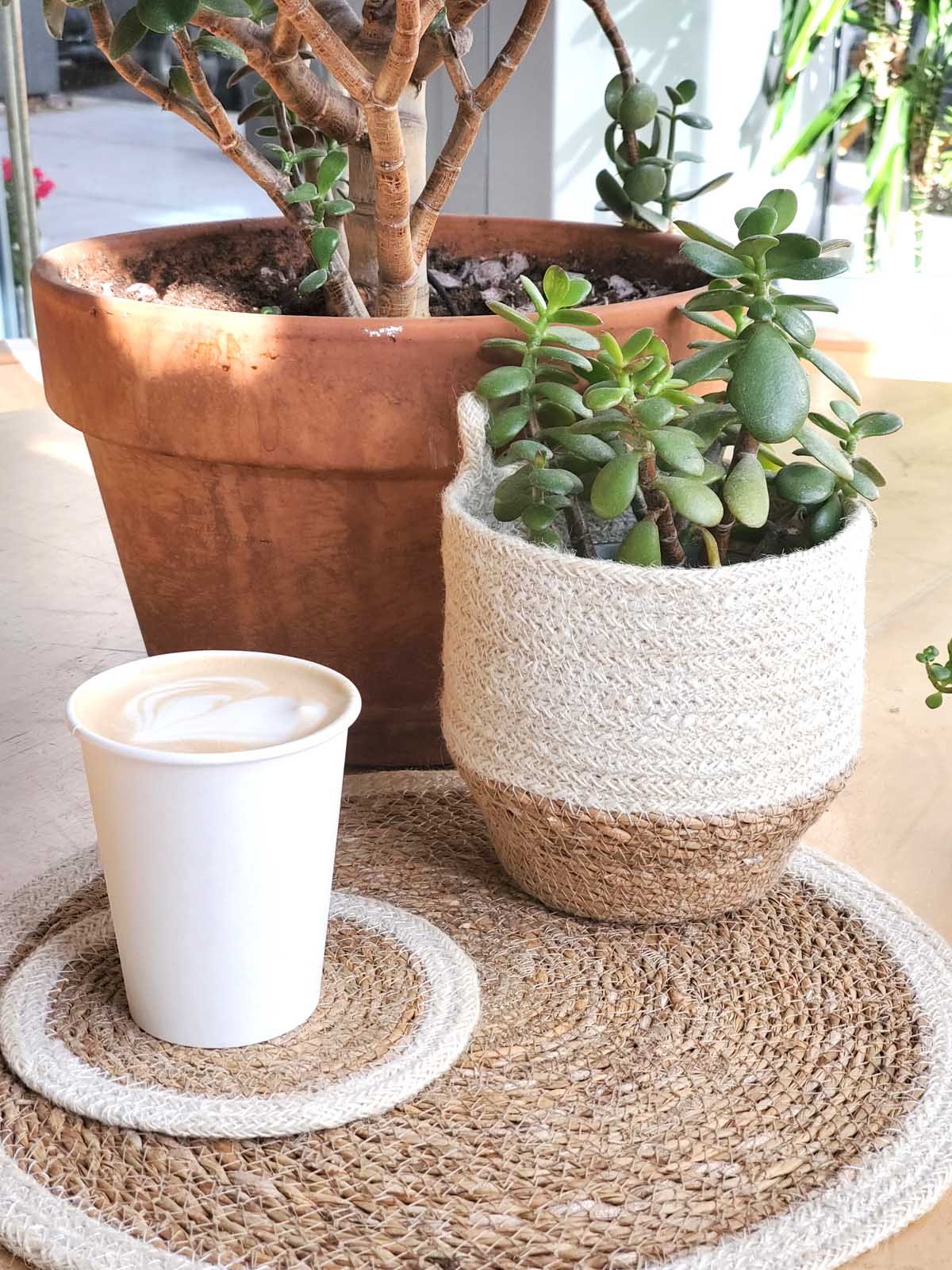 The Amari Woven Bin
