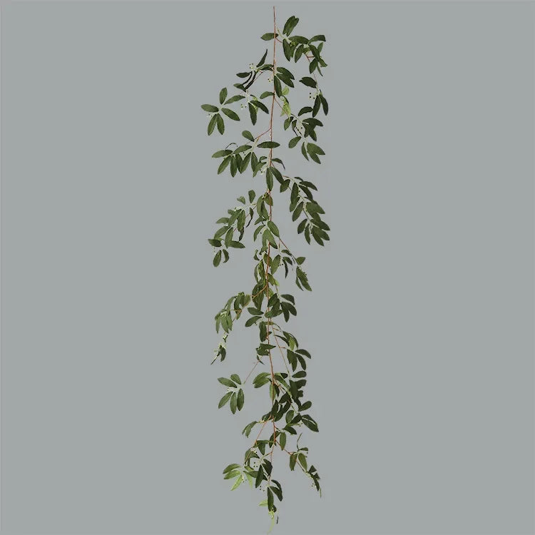 The Olive Hearth Vine