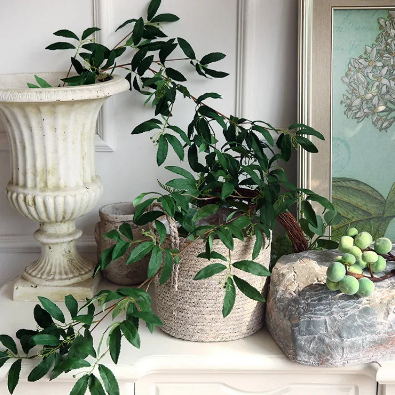 The Olive Hearth Vine