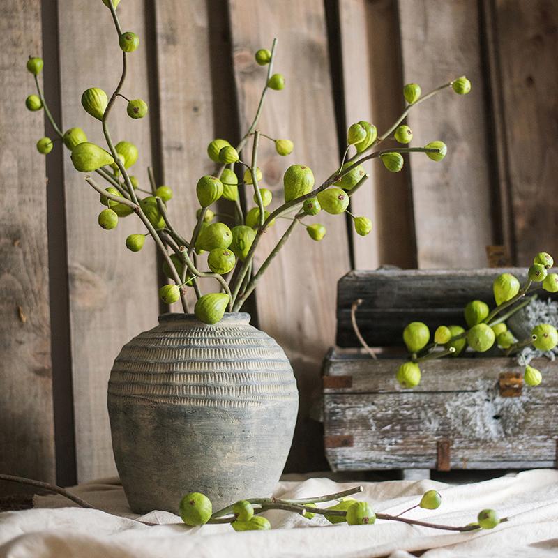 Green Fig Stem