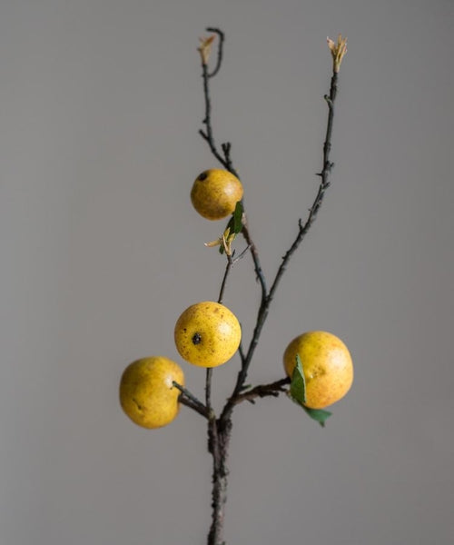 The Hearthgold Apple Branch