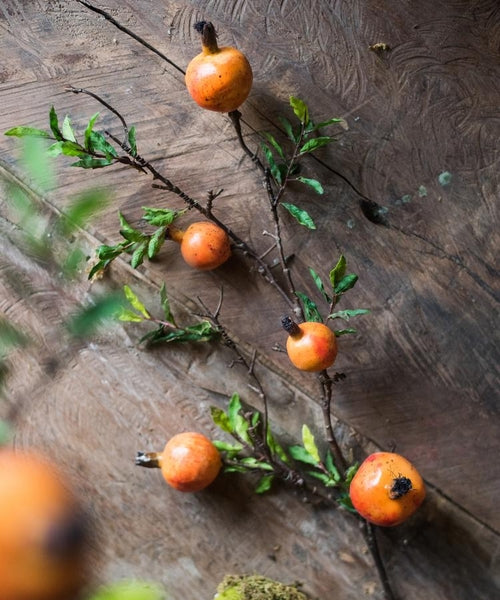 The Orchard Glow Fruit Stem