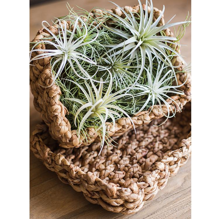 Organic Straw Haven Basket