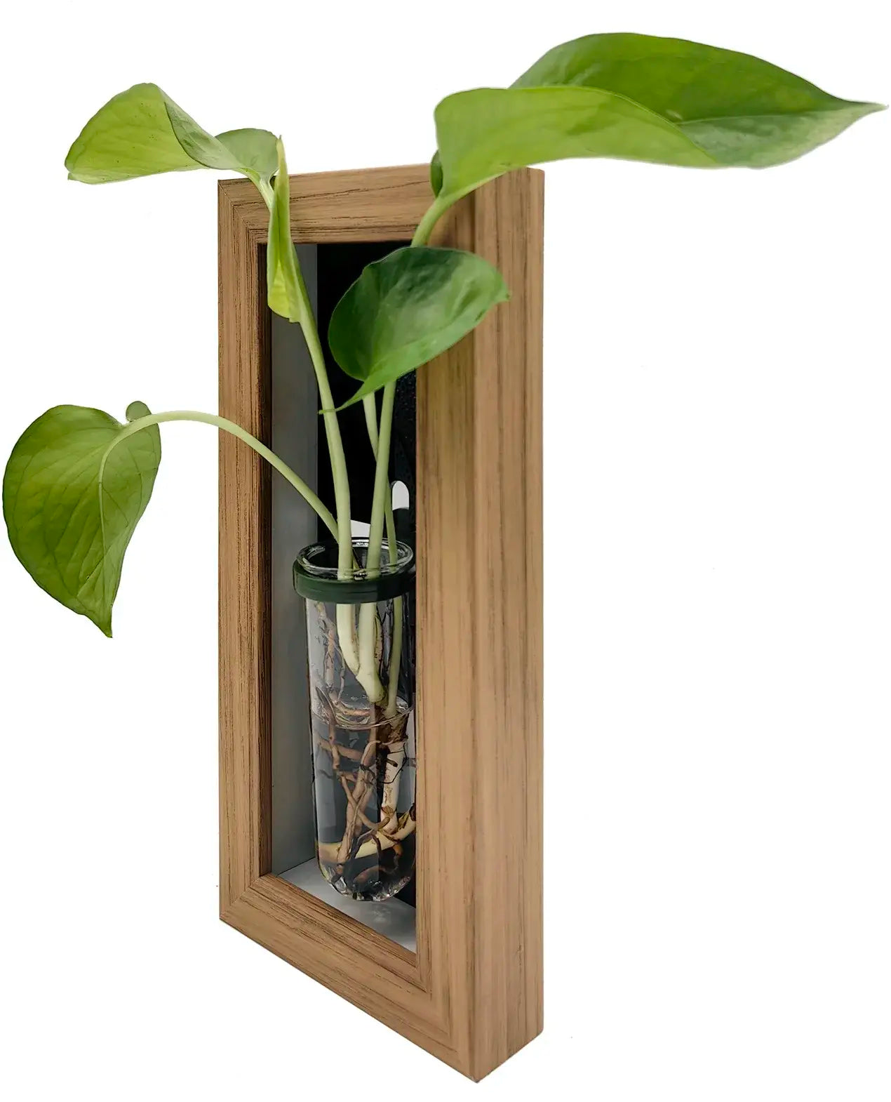 Hydroponic Tube Planter