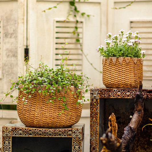 Timeless Straw Basket Planter
