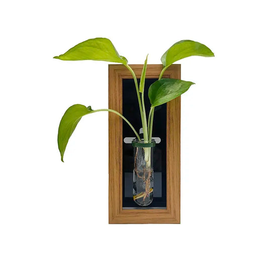 Hydroponic Tube Planter