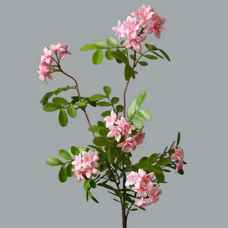 The Locust Blossom Branch
