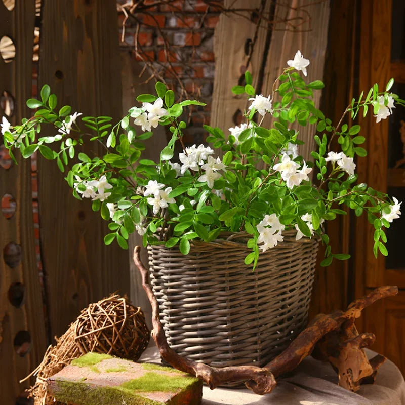 The Locust Blossom Branch