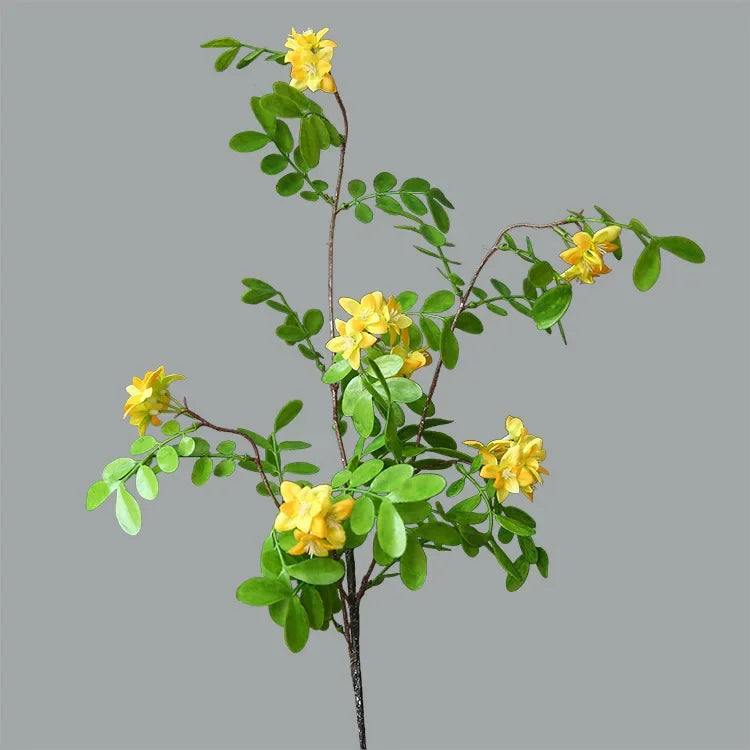 The Locust Blossom Branch