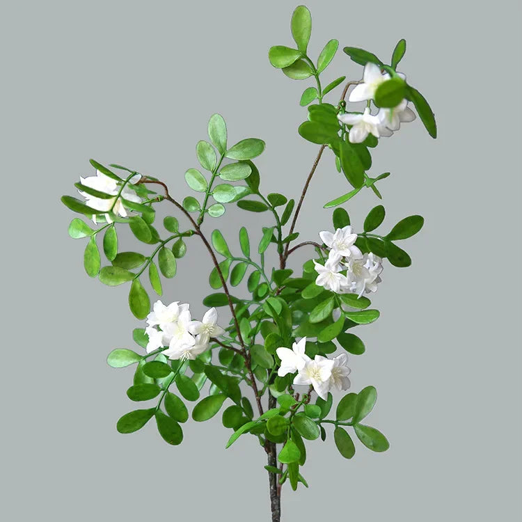The Locust Blossom Branch