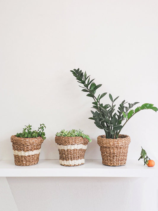 Nesting Plant Basket