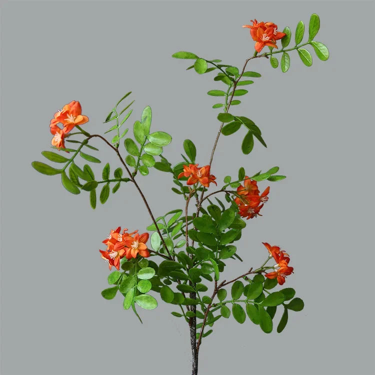 The Locust Blossom Branch