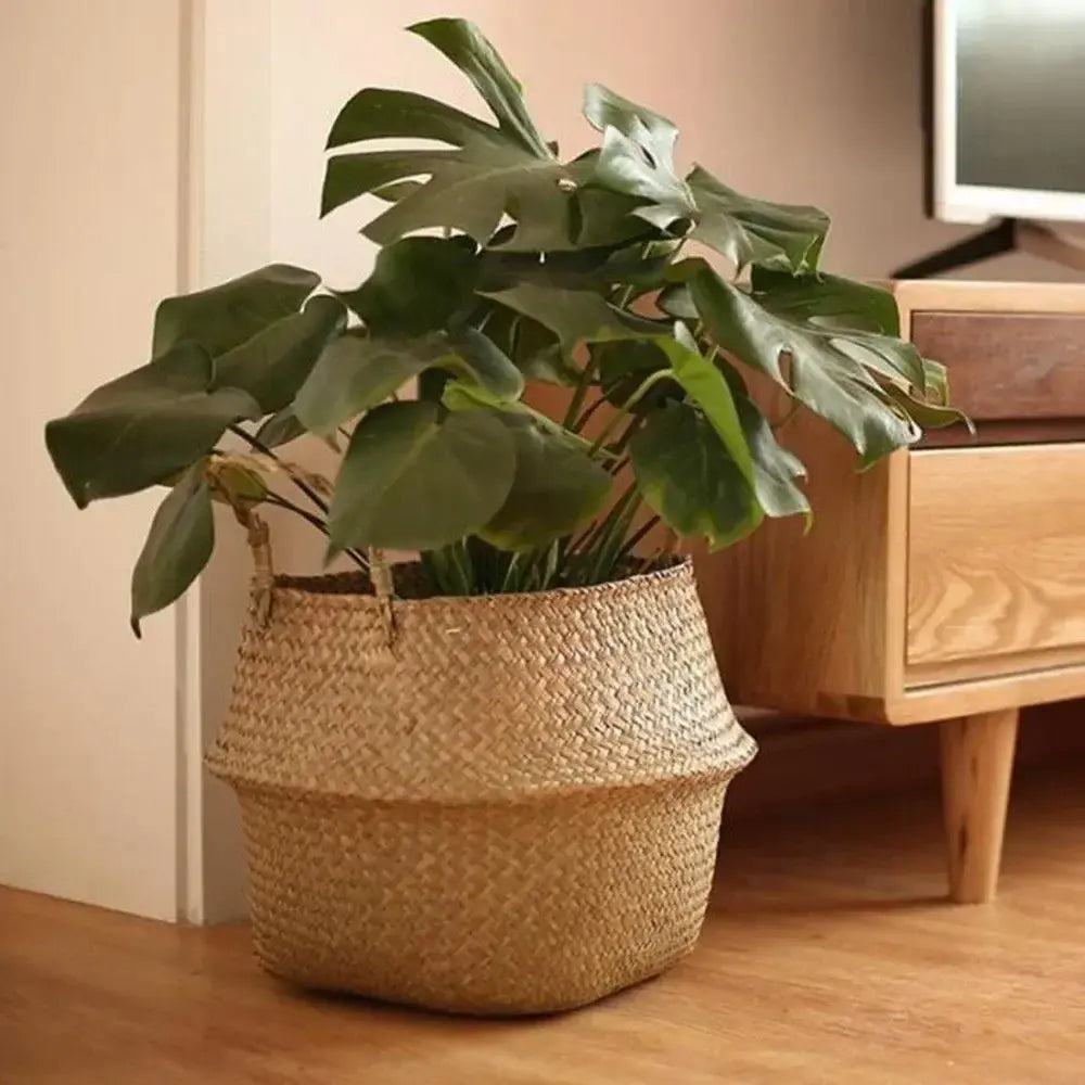 Natural Wicker Planter Basket