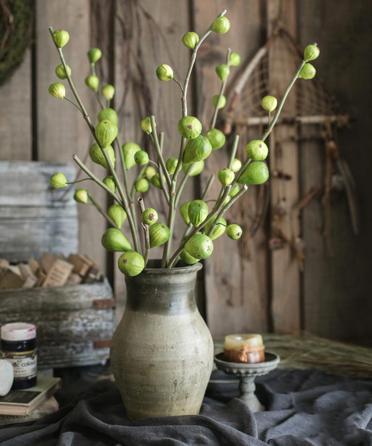 Green Fig Stem