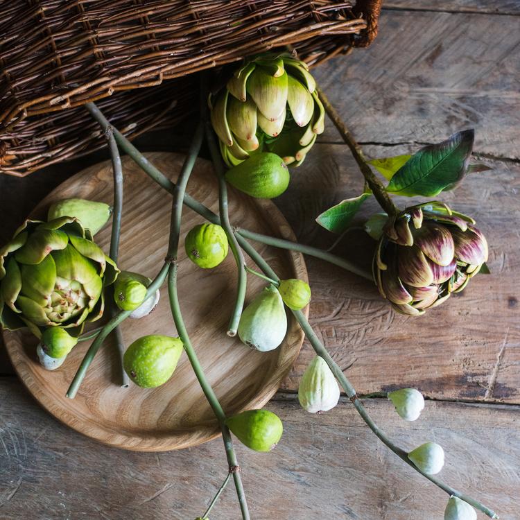 Green Fig Stem