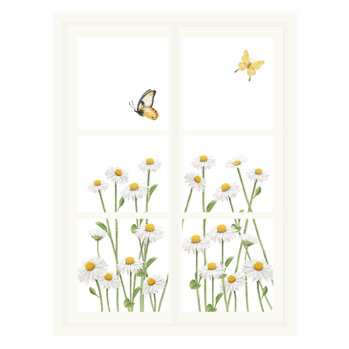 Daisy & Butterfly Window