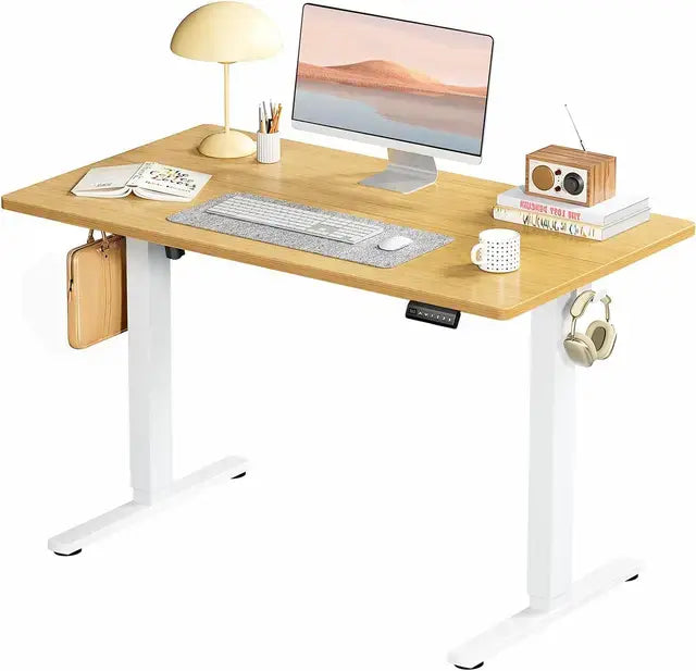 ElevEase Sitting/Standing Desk