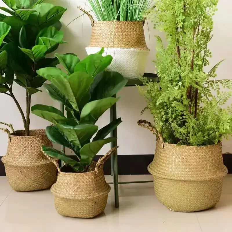 Natural Wicker Planter Basket